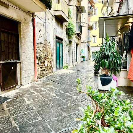 Vesuvius House נאפולי